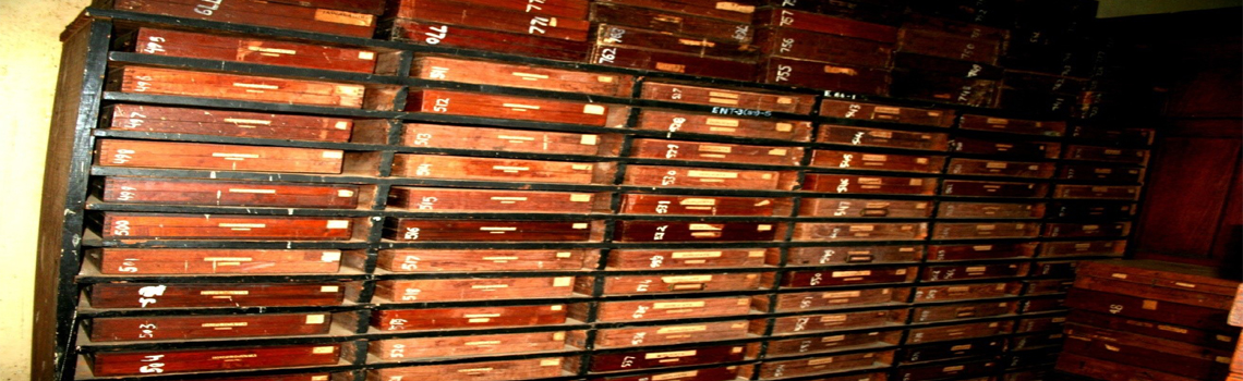 Duplicate Collection