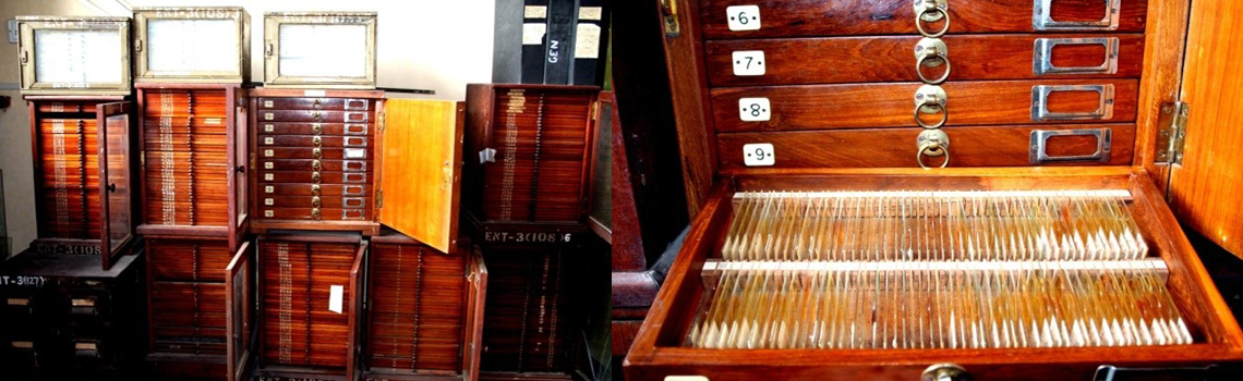 Slide mounted material collection